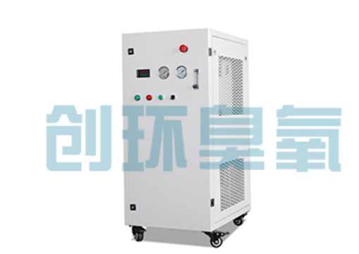 商丘石斑鱼养殖水质调控完整指南:臭氧发生器配置与操作步骤